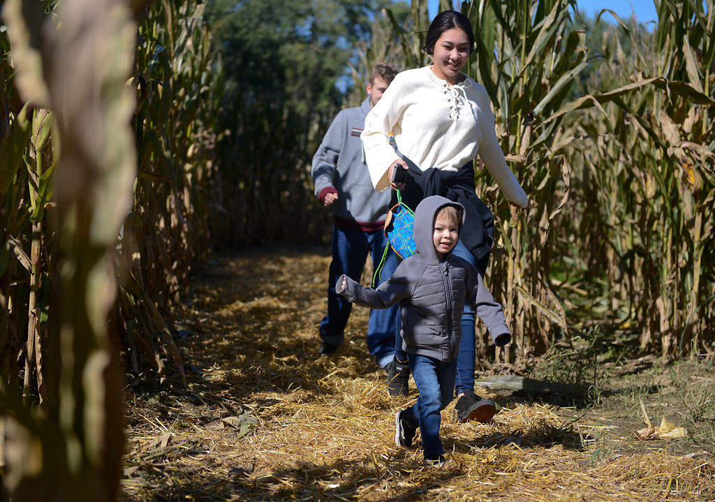 Camden Wadtananussorn, 3, and mother Brandy Wadtananussorn complete the corn maze
